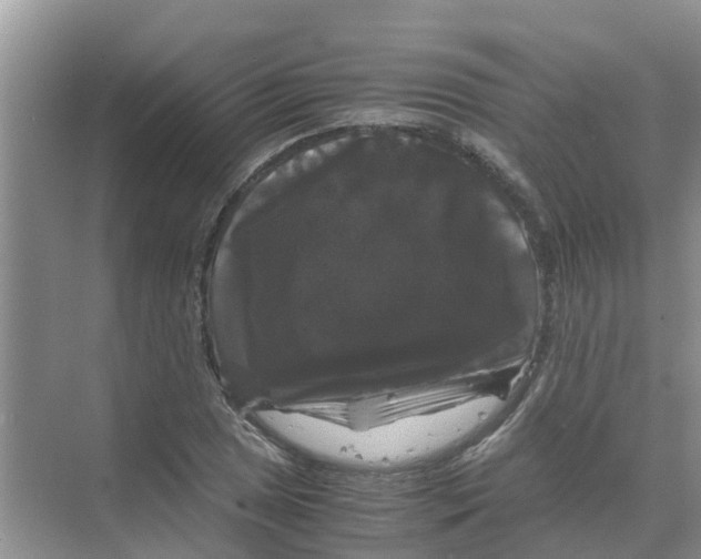 X0000070171025200606231915