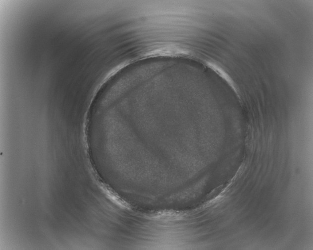 X0000070171026200606231915