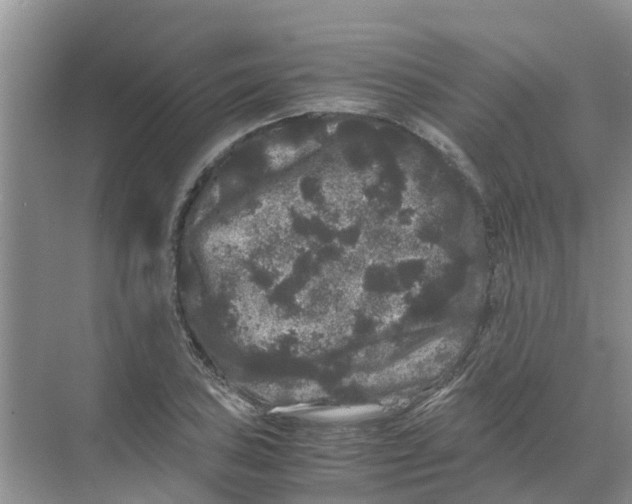 X0000070171027200606231915