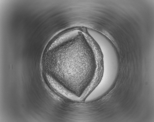 X0000070171028200606231915