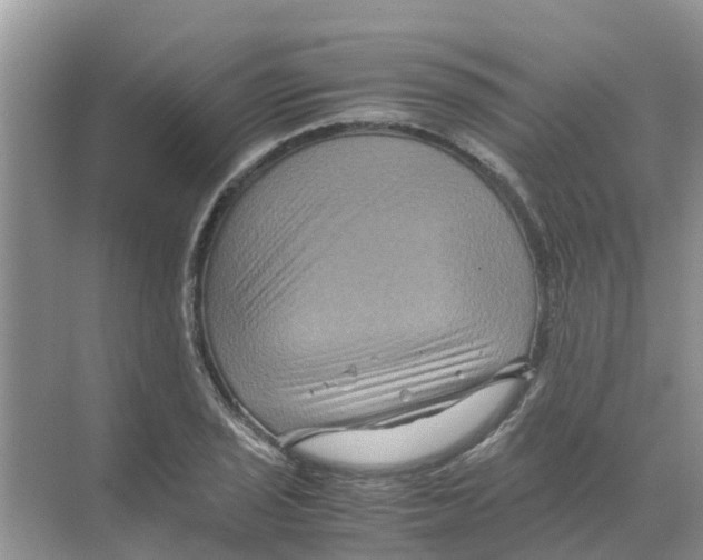 X0000070171029200606231915