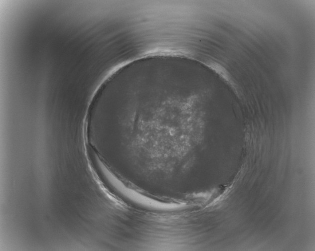 X0000070171030200606231915