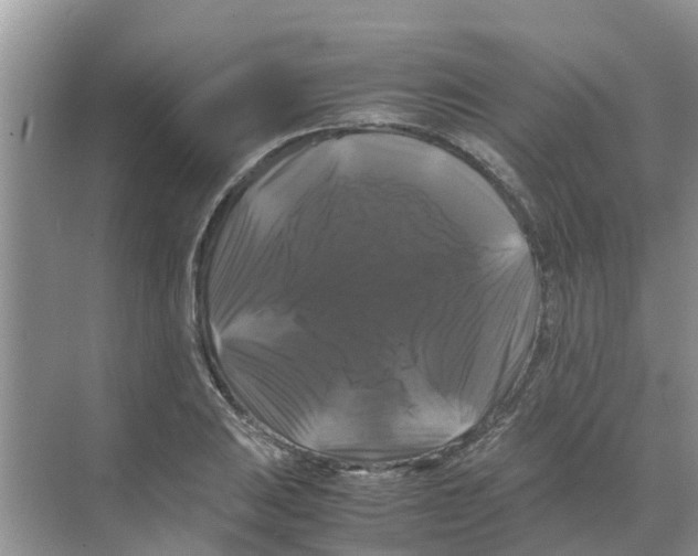 X0000070171031200606231915