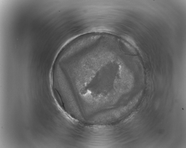 X0000070171032200606231915