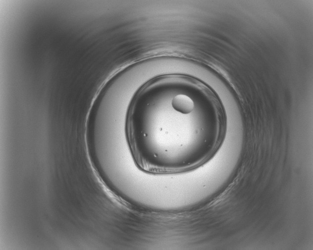 X0000070171034200606231915