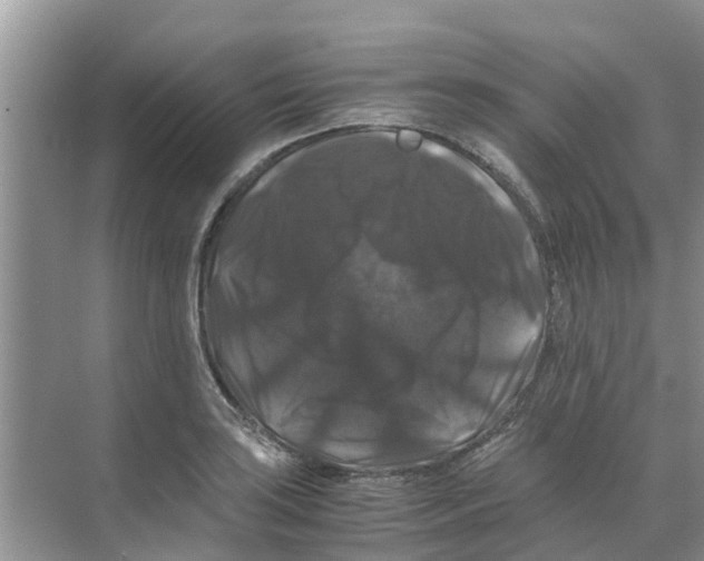 X0000070171035200606231915