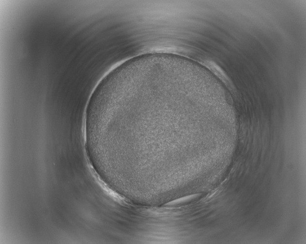 X0000070171036200606231915