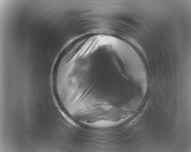 X0000070171037200606231915