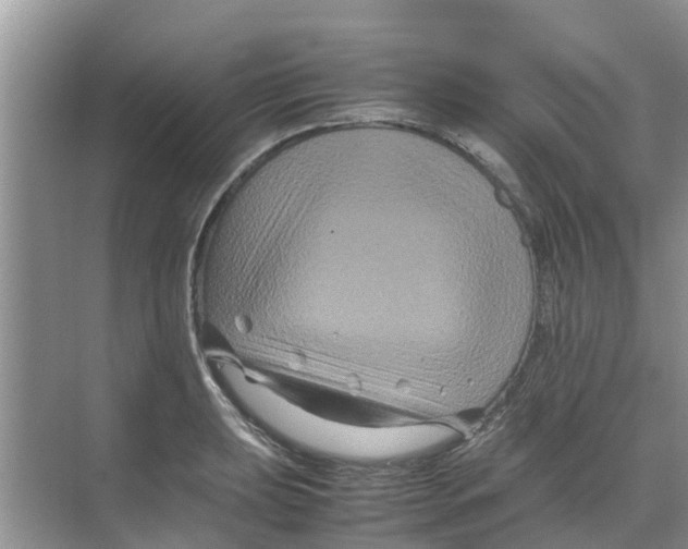 X0000070171039200606231915