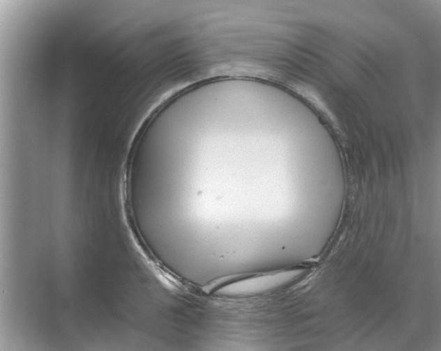 X0000070171040200606231916