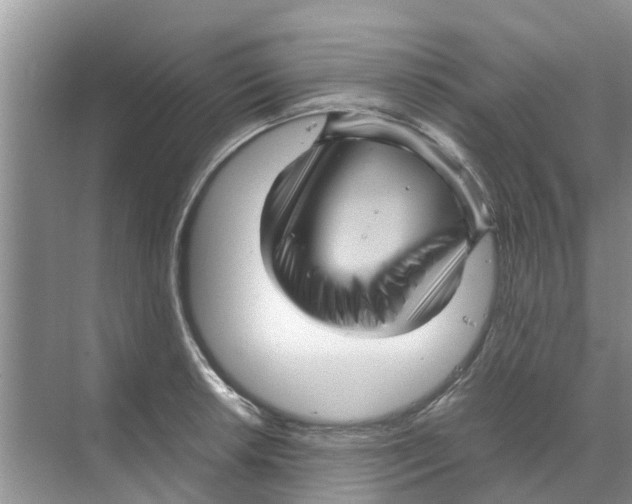 X0000070171042200606231916