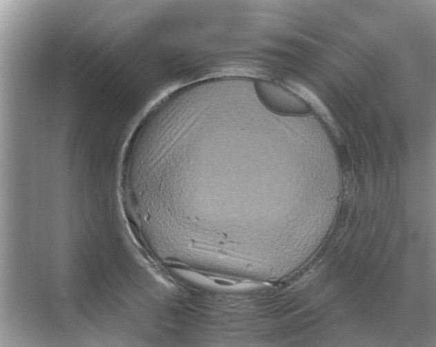 X0000070171043200606231916