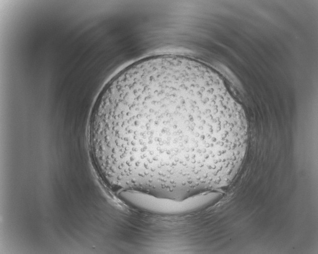 X0000070171044200606231916