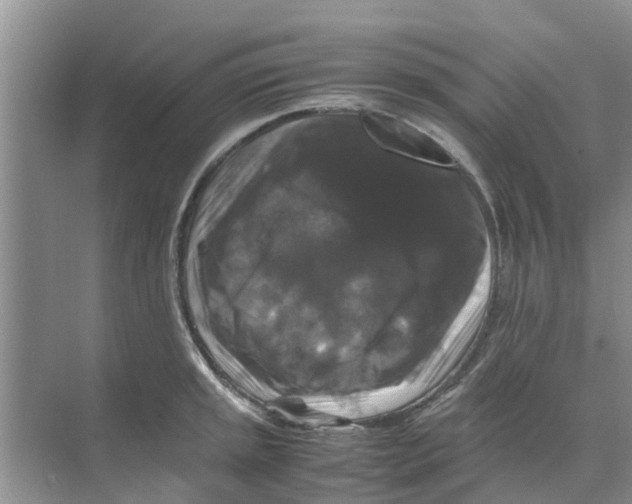 X0000070171045200606231916