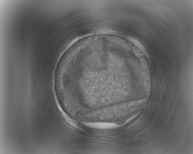 X0000070171047200606231916