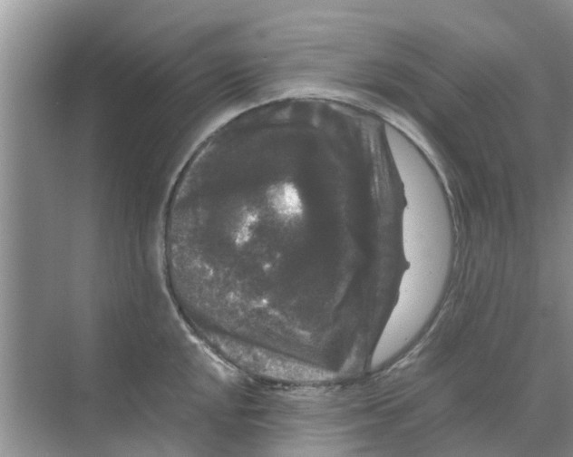 X0000070171048200606231916