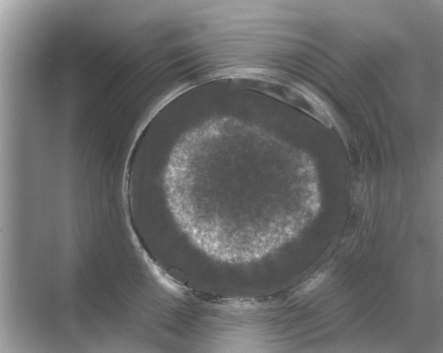 X0000070171050200606231916