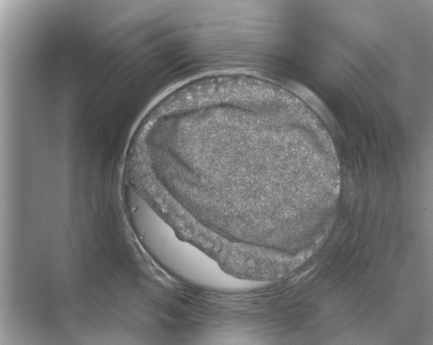 X0000070171052200606231916