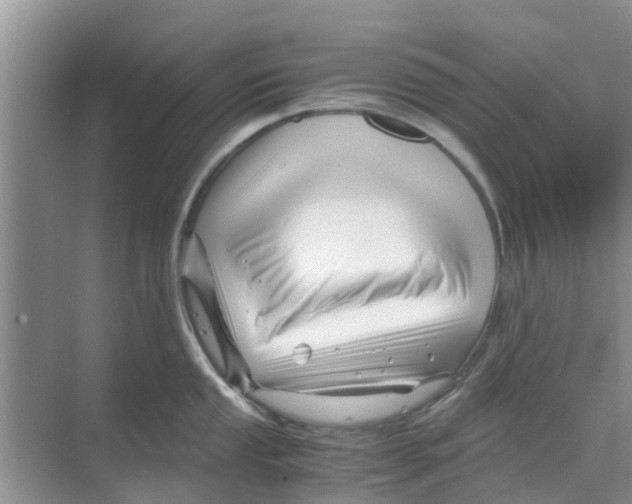 X0000070171053200606231916