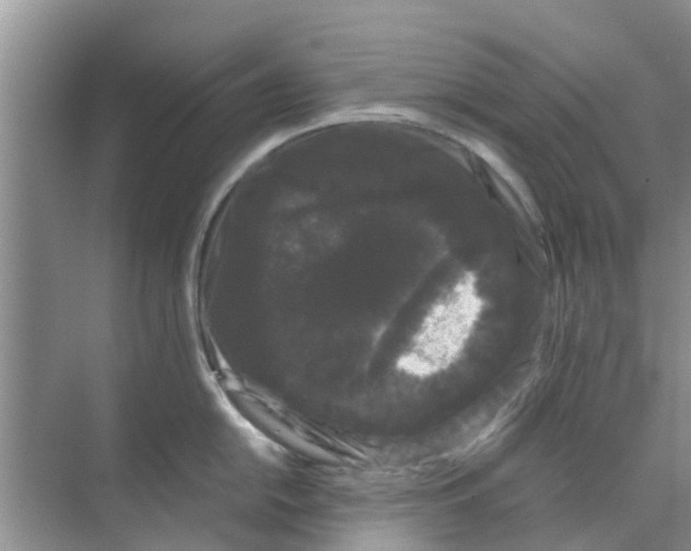 X0000070171054200606231916