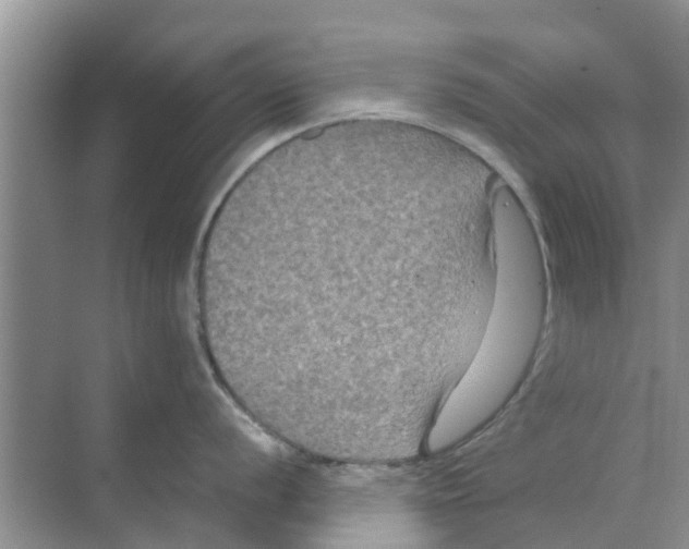 X0000070171056200606231916