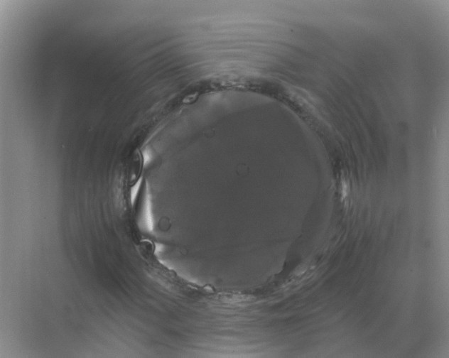 X0000070171060200606231915