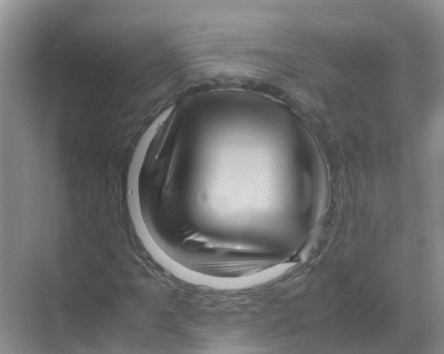 X0000070171061200606231915