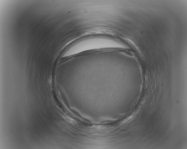 X0000070171065200606231915