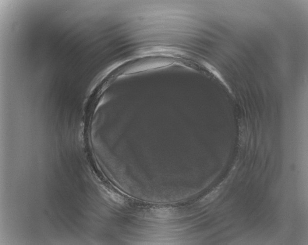 X0000070171066200606231915