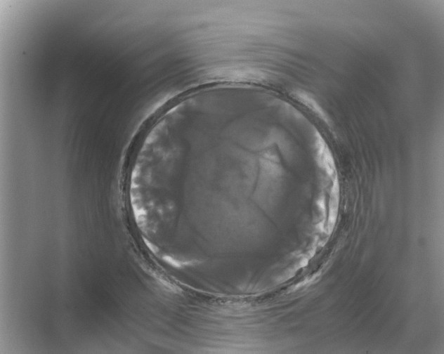 X0000070171071200606231915