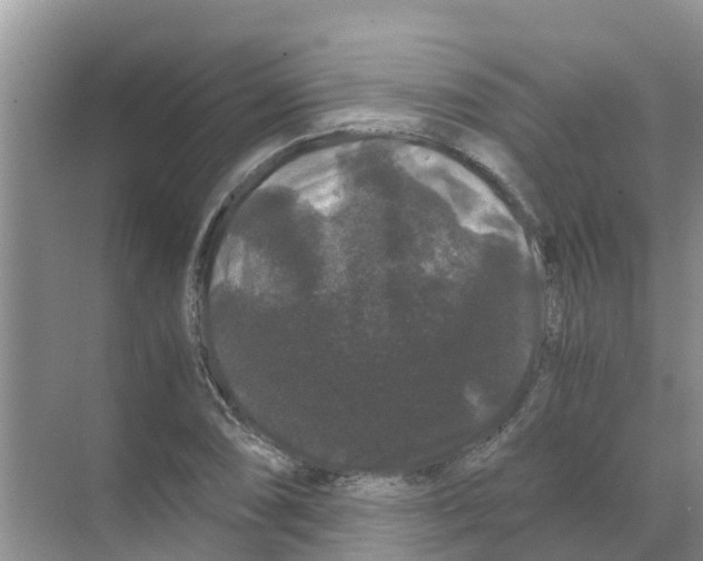 X0000070171074200606231915