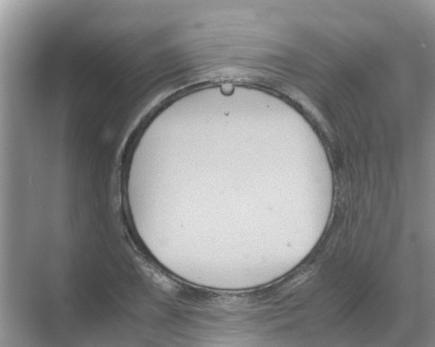 X0000070171075200606231915