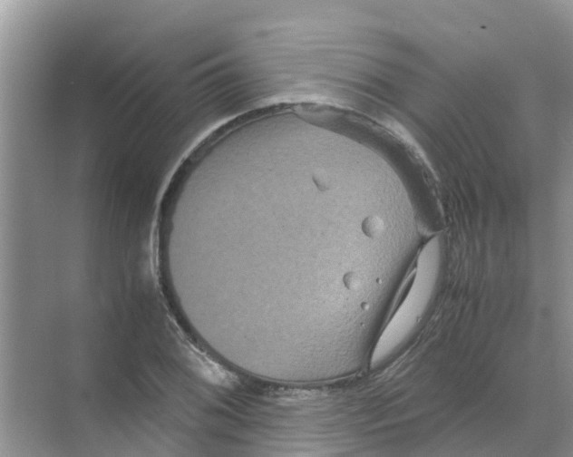 X0000070171076200606231915