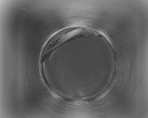 X0000070171077200606231915