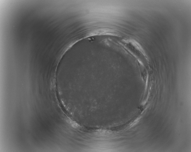 X0000070171081200606231915