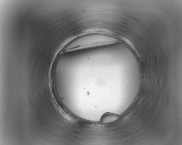 X0000070171082200606231915