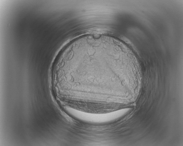 X0000070171083200606231915