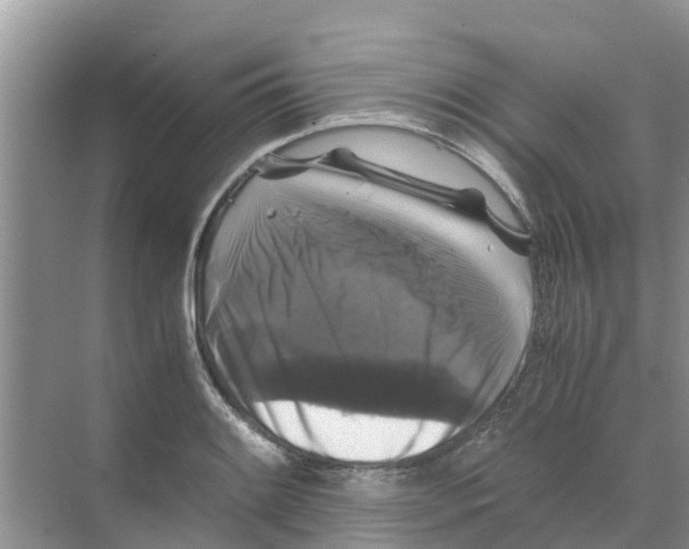 X0000070171084200606231915