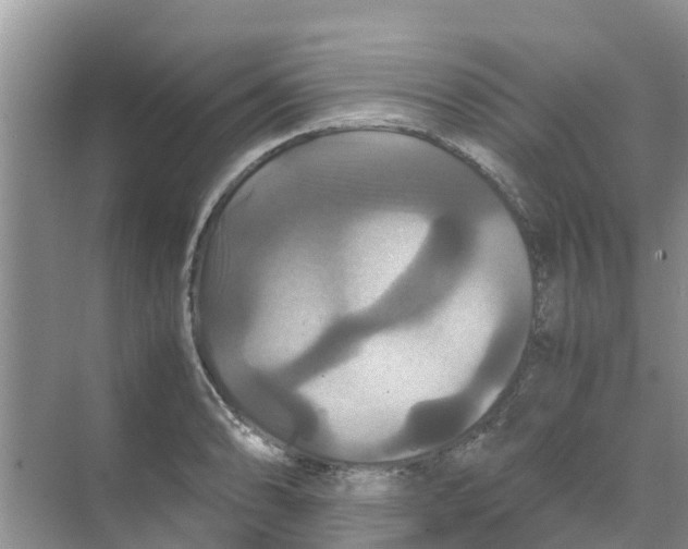 X0000070171086200606231914