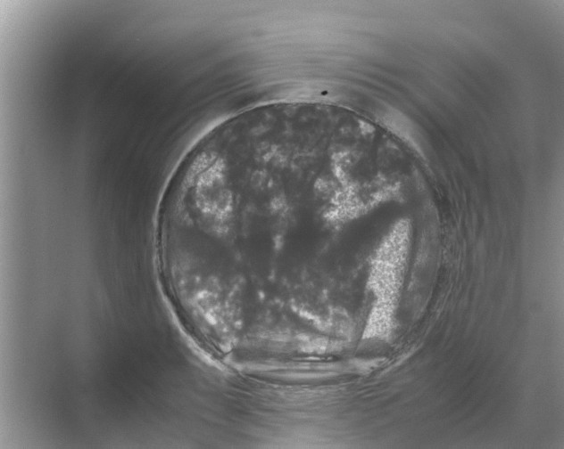 X0000070171087200606231914