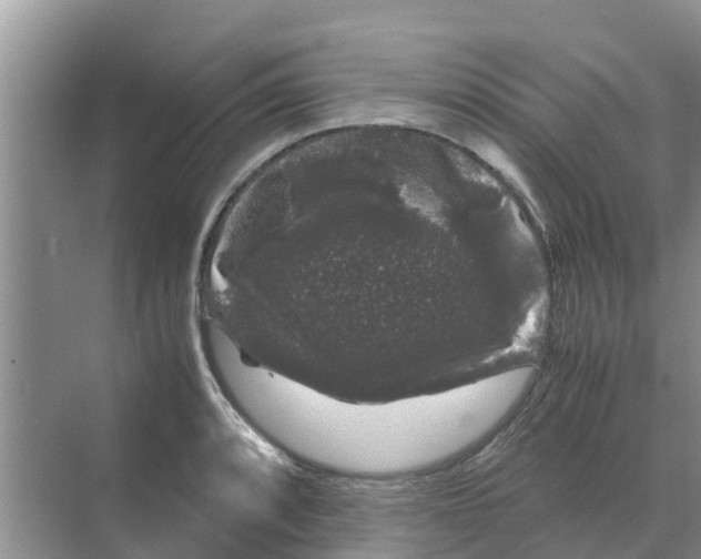 X0000070171088200606231914