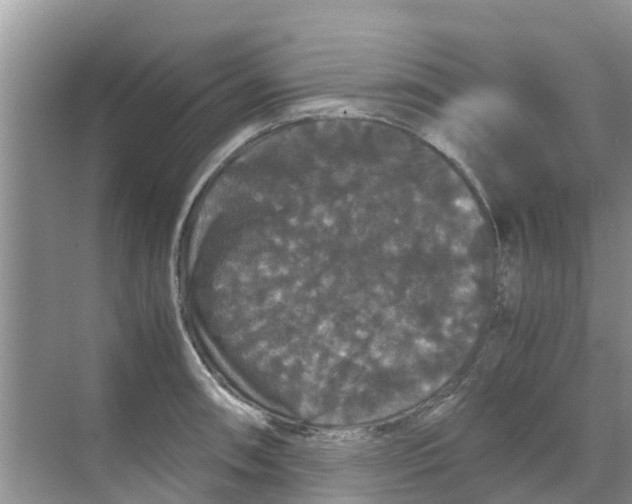 X0000070171090200606231914