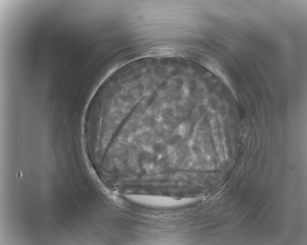 X0000070171091200606231914