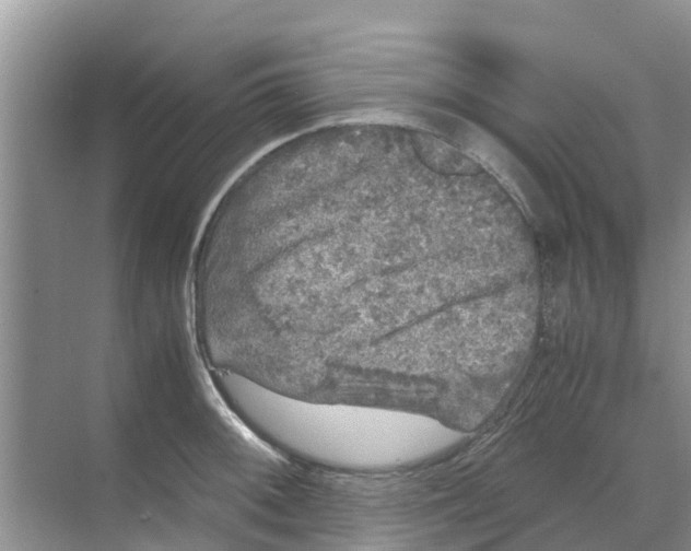 X0000070171092200606231914