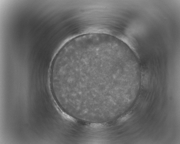 X0000070171094200606231914