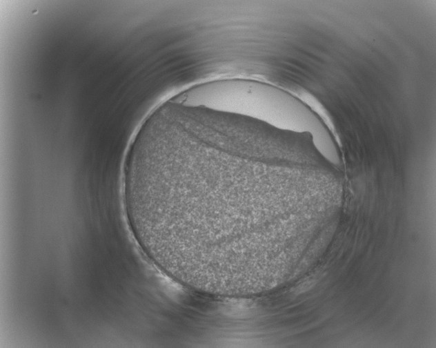 X0000070171096200606231914