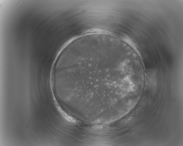 X0000070171098200606231914