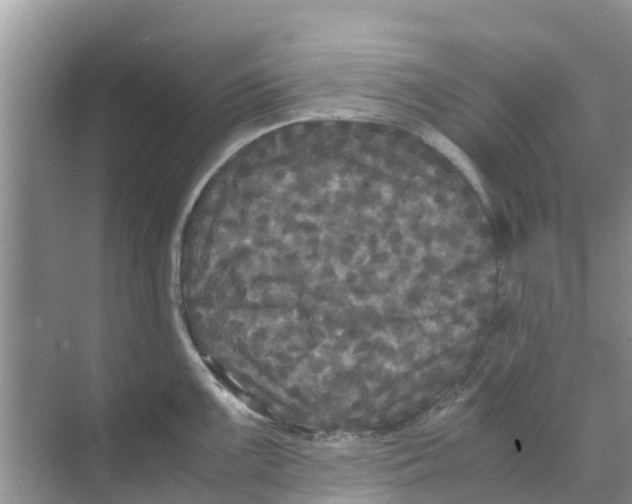 X0000070171099200606231914