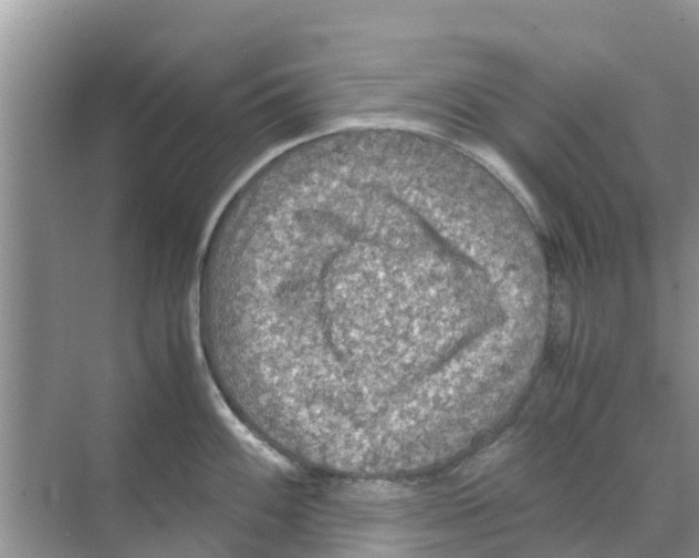 X0000070171100200606231914