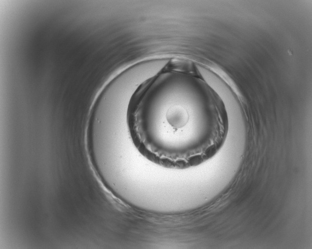 X0000070171101200606231914